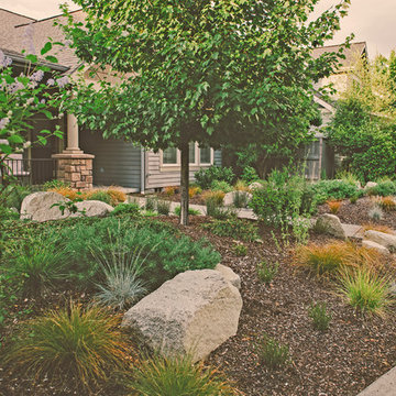 Drought Tolerant Front Yard