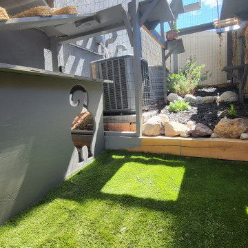 The Purr-fect Playground✨
