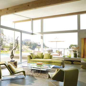 Hunter Douglas Contemporary Living Window Treatments and Draperies