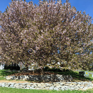 Natural Stone Terracing in the Front Yard