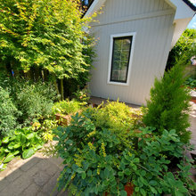 My Garden Project