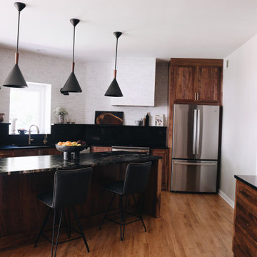 Modern Kitchen Remodel Lenexa, KS