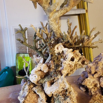 Bubble Crown 370 gallon aquarium