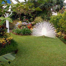Gorgeous Gardens