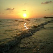 Lisa Battaglia's photo