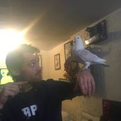 Dan McGinley-Aviles Pereda's photo
