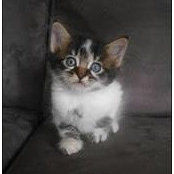 Justin Sowerby's photo