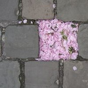 Sara Nasser's photo