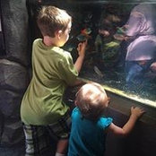 Julie Holcombe's photo