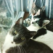Jenny Durst's photo