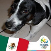 Foto von Beatriz Santillan