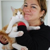 Foto von Serap Akova