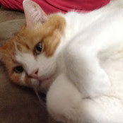 Kira Steinbeck's photo