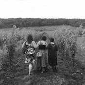 Shannon Nicks's photo
