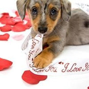 Wendy Stumpf's photo