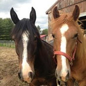 Sandra Dennis's photo