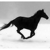Christy Beardshear's photo