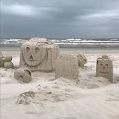 Tracy Seals's photo