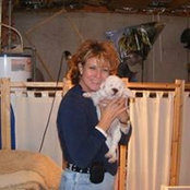 Lorrie Ricklefss foto
