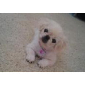 Irina Santos's photo