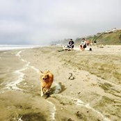 Tracy Herfindahl's photo