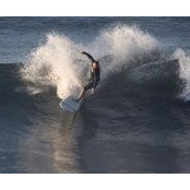 Michael Gillikin's photo