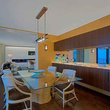 Chicago Condo Full Remodel