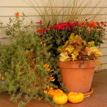 Porch - Fall