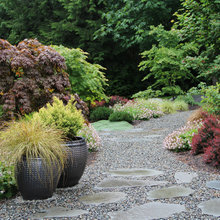 for Kim backyard