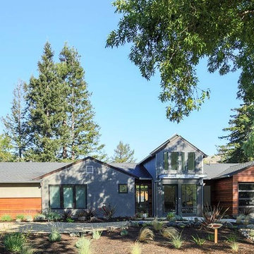 Juno St. Tiburon