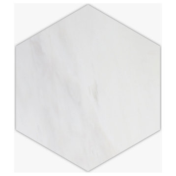 Bianco Dolomiti Honed 10" Hexagon Marble Mosaic