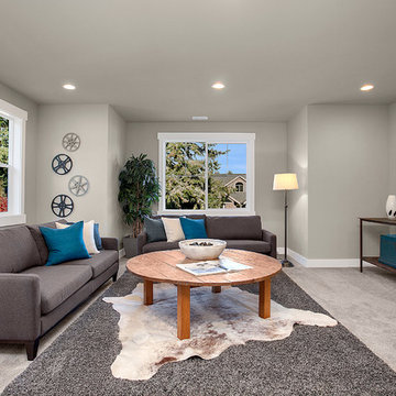 Greater Seattle Area | The Acropolis Bonus Room