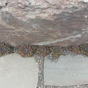 Mountain Top Perch
