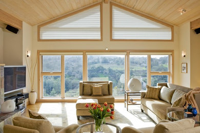 Living room - contemporary living room idea in San Francisco