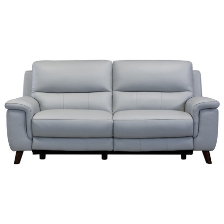 Steffanie Contemporary Sofa, Dark Wood and Dove Gray Genuine Leather