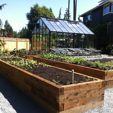 Adams St Garden