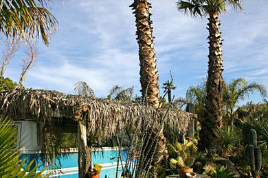 Design ideas for a tropical drought-tolerant landscaping in San Francisco.