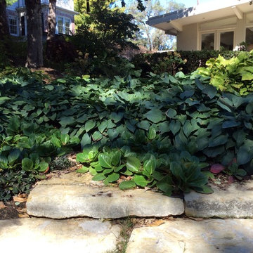 Landscaping