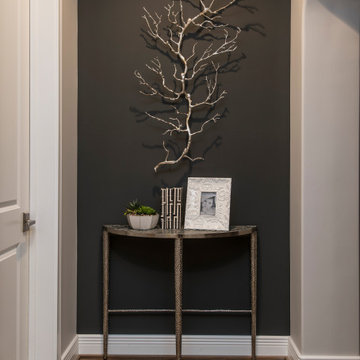 Paradise Valley Remodel