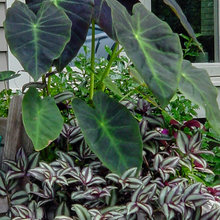 garden pots