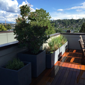 Seattle Fremont Rooftop Deck Garden