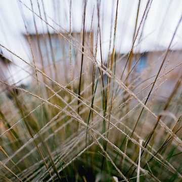 Los Osos Backyard Retreat