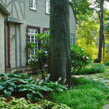 Landscape Ideas