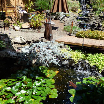 Backyard Remodel Koi Pond