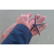 Brian McBride's photo