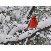 Jessica Milling's photo