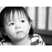 Stéphane Tremblay's photo
