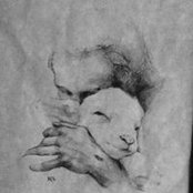 Cynthia Stephens's photo