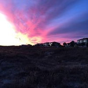 Patricia Smith's photo