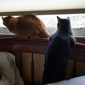 Lynn O'Brien's photo